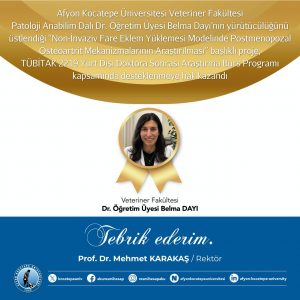 Dr. Öğretim Üyesi Dayı’nın TÜBİTAK 2219 Projesi Desteklenmeye Hak Kazandı