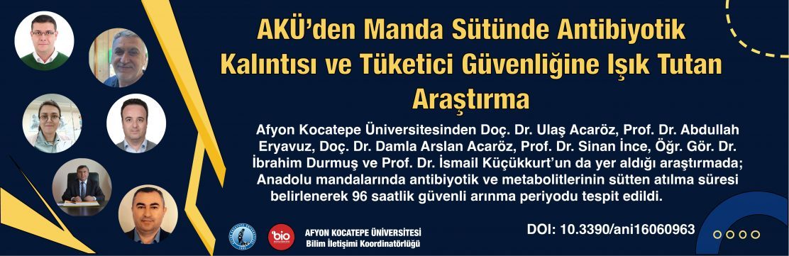 Anadolu Mandası Sütünde Antibiyotik Kalıntılarının Atılma Süresi ve Tüketici Güvenliği Belirlendi
